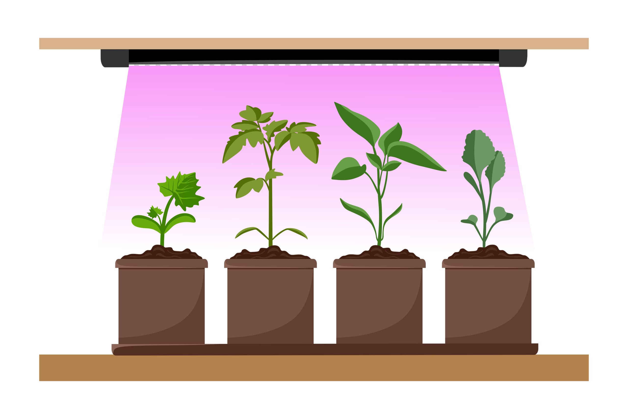 Indoor Grow Lights and How They are Disrupting Plant Care